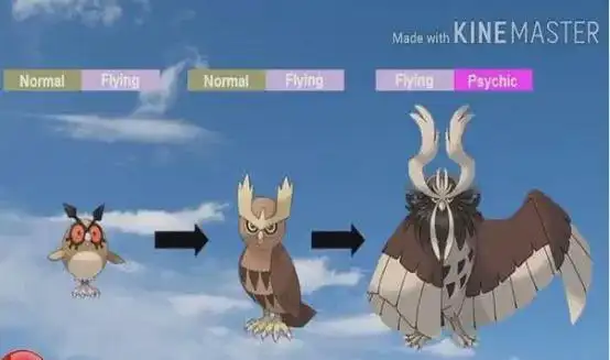 在设定中由咕咕进化而来的猫头夜鹰,可以说已经是一个终极形态,不过