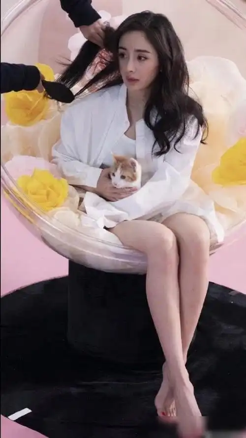 杨幂白衬衫大露美腿,低头撸猫浅笑,少女感十足_网易订阅