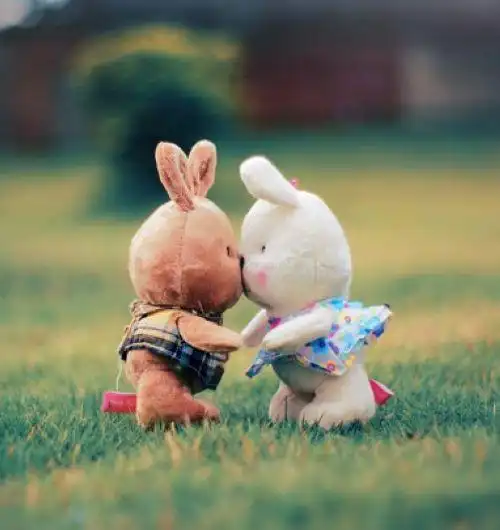 谁能找到这张图的原图,两只兔子娃娃亲嘴的原图