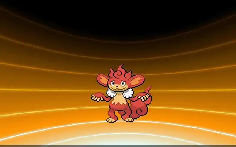 爆香猴进化了!周日抽奖!_哔哩哔哩_bilibili