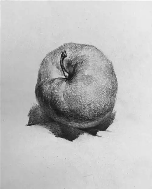 一周一画 素描篇 【第2期】