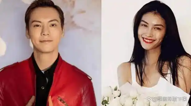 何穗怀孕真的吗她与陈伟霆感情现状引热议,咋回事