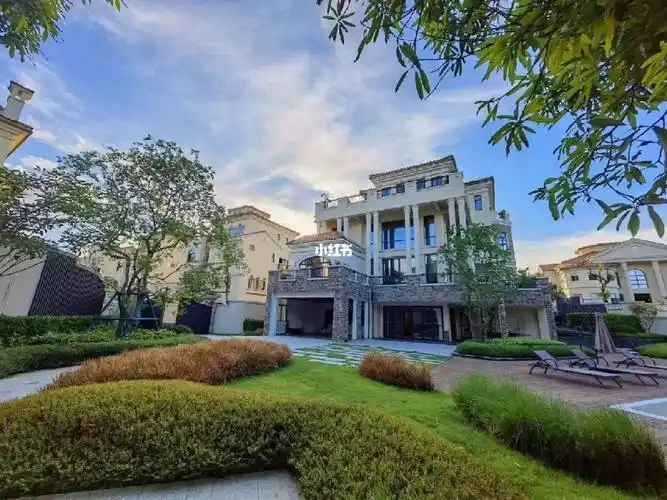 惠阳别墅首付699万起超大花园