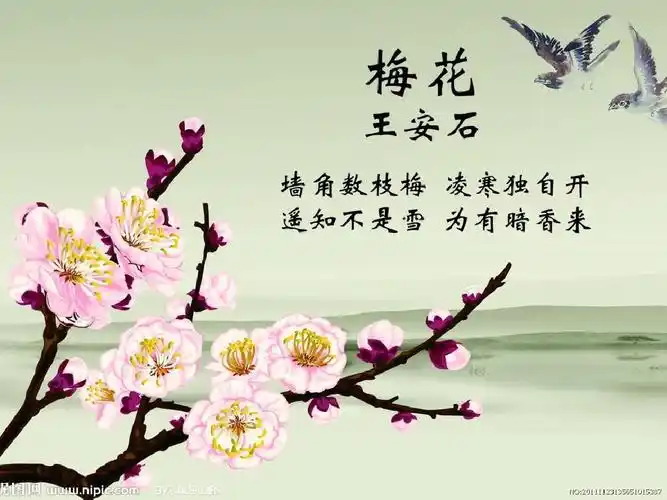 卜算子咏梅__ppt课件