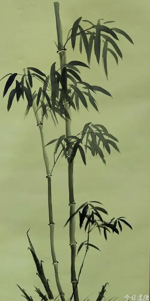 水墨画——竹子
