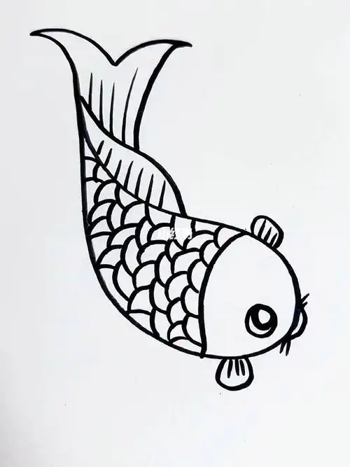 字母s和c画大鲤鱼一学就会的简笔画