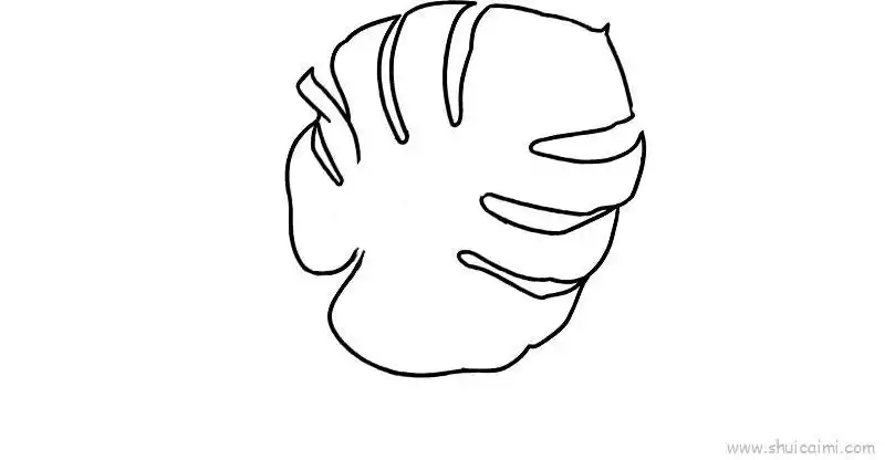 芭蕉叶儿童画怎么画 芭蕉叶简笔画简单又好看