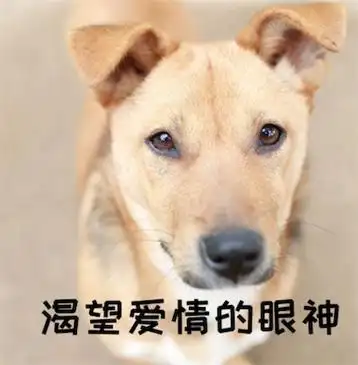 【拼音】 sān cháo yuán lǎo