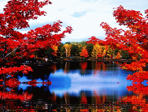 500_378gif 动态图 动图