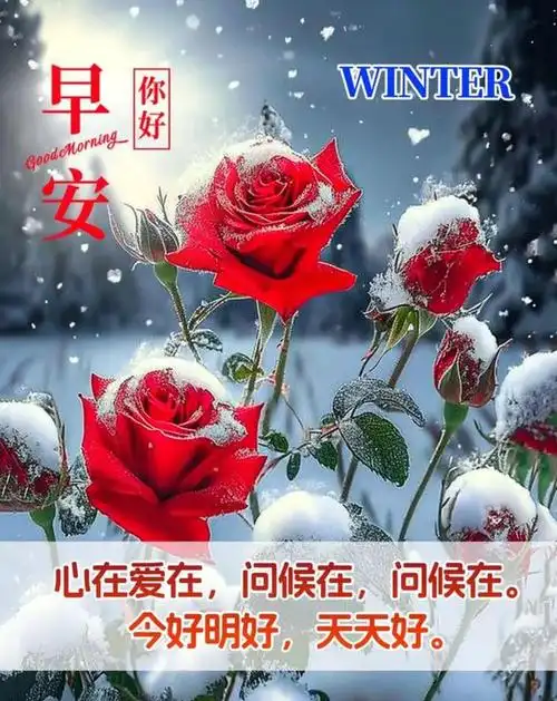 唯美暖心早安问候图片,早安漂亮图片问候祝福语