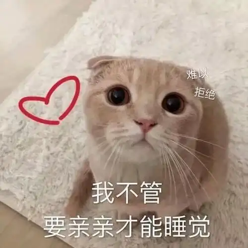 猫咪表情包:敲可爱的表情包大全,撩到小哥哥简简单单呦
