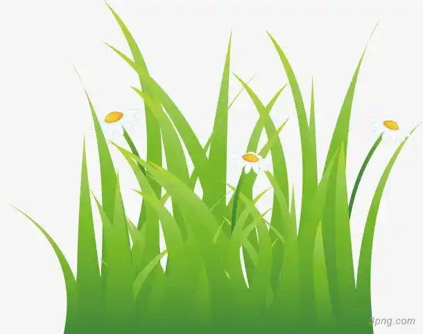 卡通绿色小草png素材透明免抠图片-动植人物