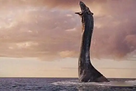 千年巨蟒蛇王活的有多大 古墓发现千年巨蟒图片