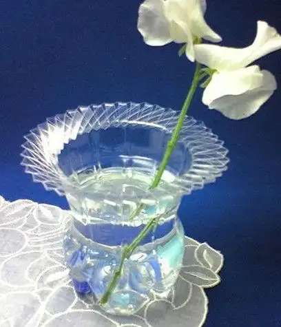 废矿泉水瓶做手工