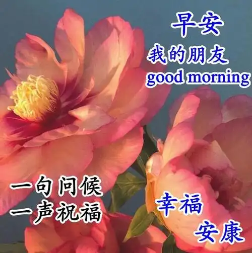 最新早安问候语图片大放送清晨祝福暖心间