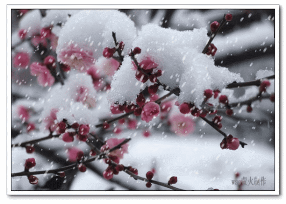 560_401gif 动态图 动图