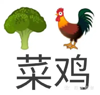 对不起我是菜鸡