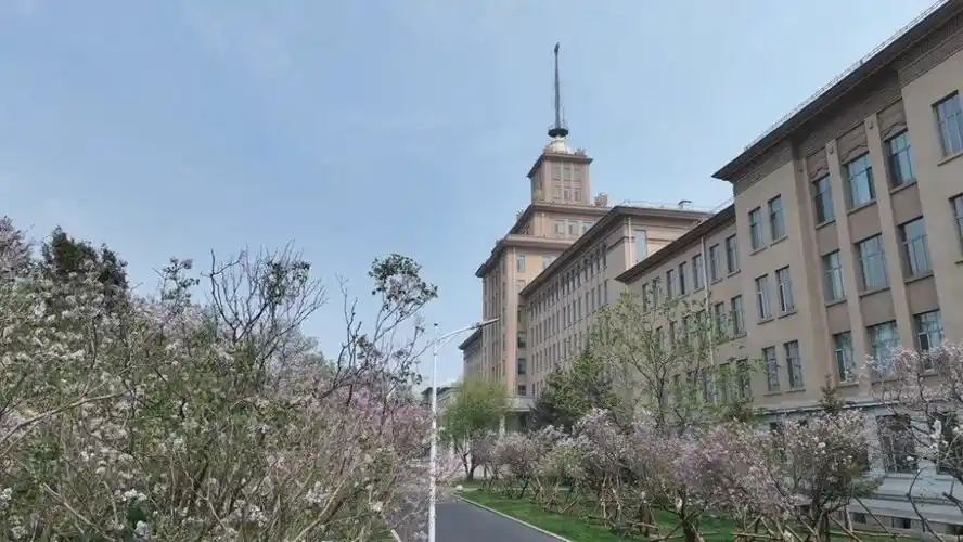 悄然间,哈工大校园内的丁香已缀满枝头,花开成海,芳香四溢.