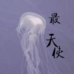 最天使 (抖音原版)