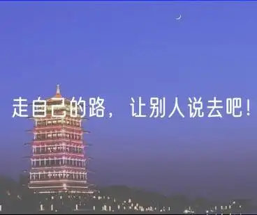 走自己的路,让别人说去吧!