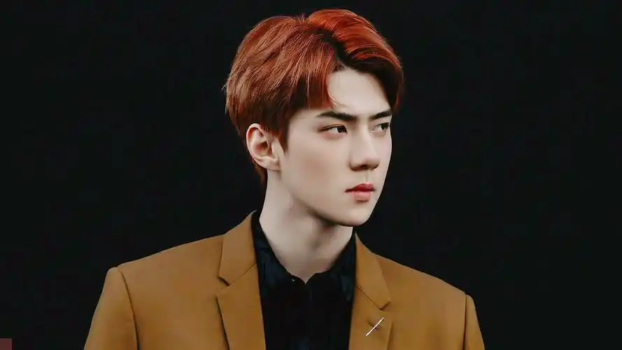 吴世勋 sehun by玖生一世 - 堆糖,美图壁纸兴趣社区