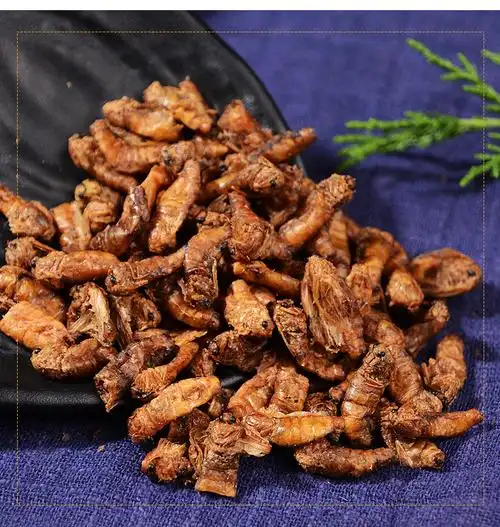 雄蚕蛾纯公蝉俄晚娥魏蚕峨可磨粉天蛾男性500g 唯香铺【图片 价格