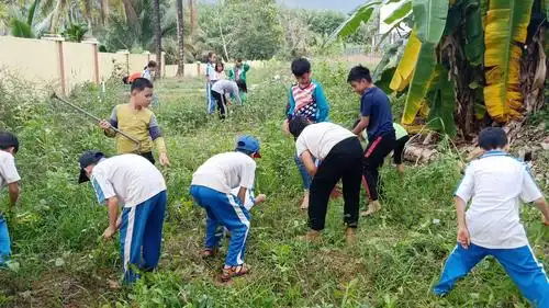 五年级学生在基地上拔草.