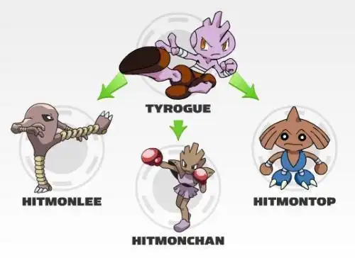 神奇宝贝小智也钟爱的格斗系强者南拳北腿无一不精