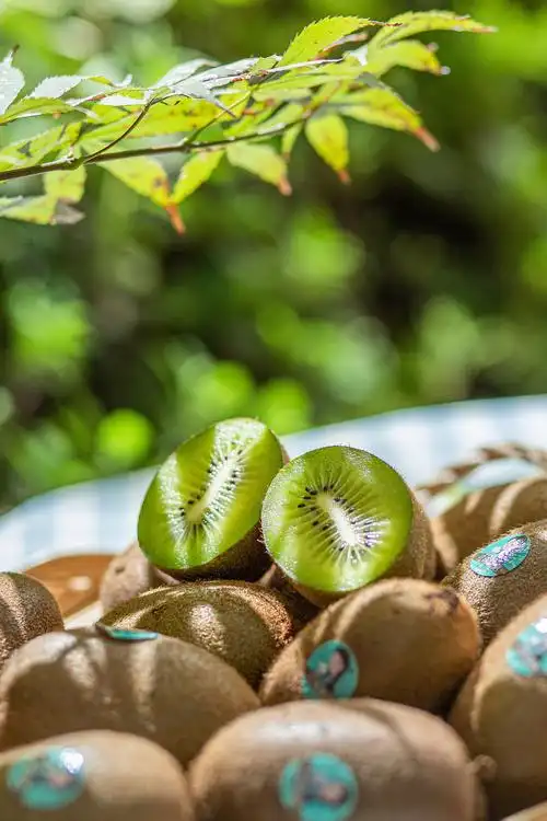 猕猴桃|摄影|美食摄影|暮羊摄视觉_原创作品-站酷(zcool)