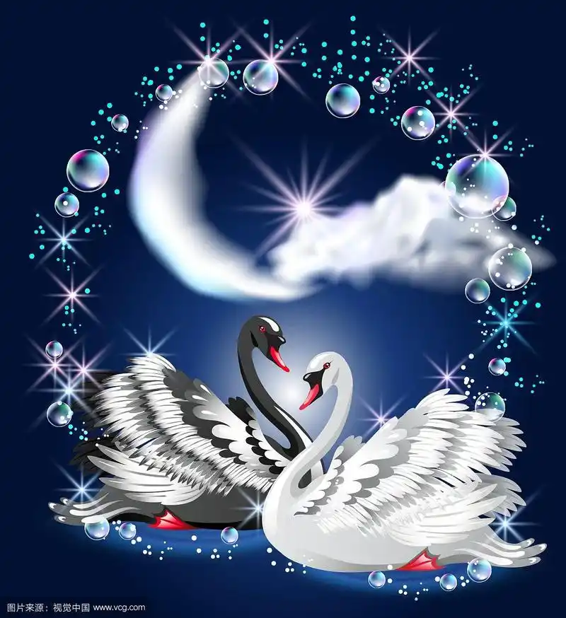 黑天鹅和白天鹅