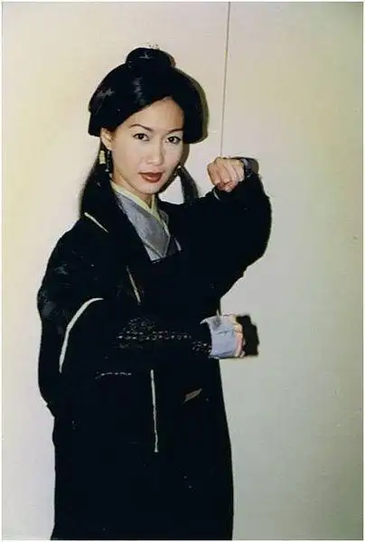 97版 赵学而 饰演的木婉清