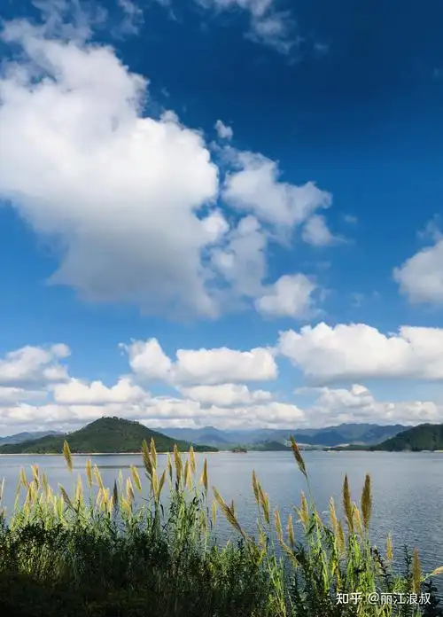 2021年你看过的最美的风景是什么