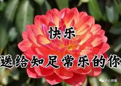 祝你天天开心,快乐永远