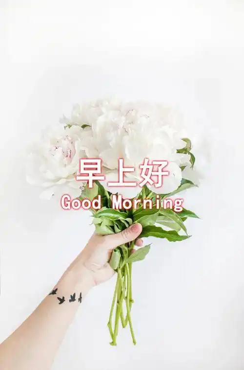 原创清晨最美早上好问候图片带字最新早上好问候祝福图片