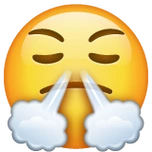 愤怒,鼻子冒白气的脸emoji素材一 160x160像素