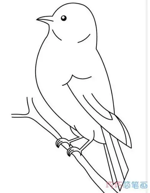 小鸟站在枝头唱歌简笔画