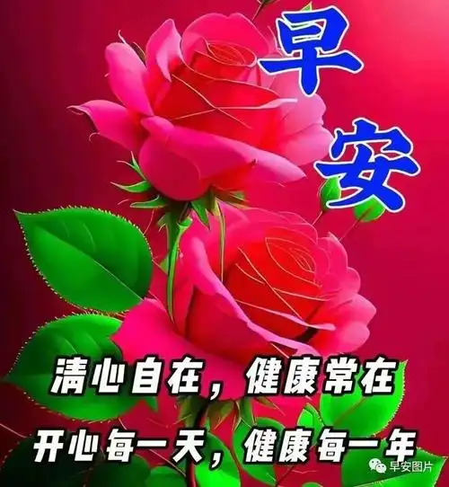 早安图片早上好唯美祝福图片