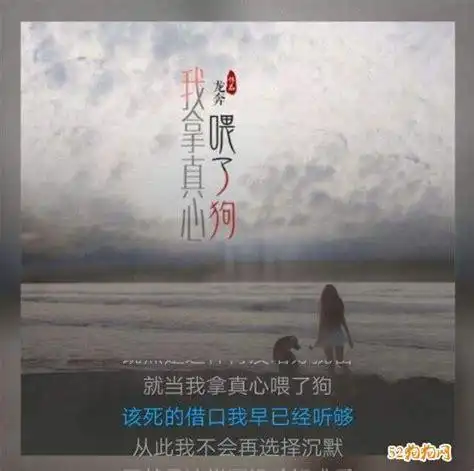 我拿真心喂了狗的图片大全,带字图-狗狗图片-52狗狗网