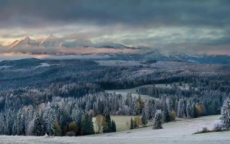 冬天的第一次接触-国家地理杂志照片壁纸 - 1440x900 壁纸 下载