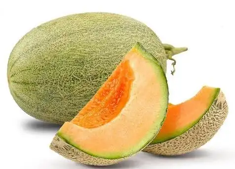 新疆哈密瓜大量上市!