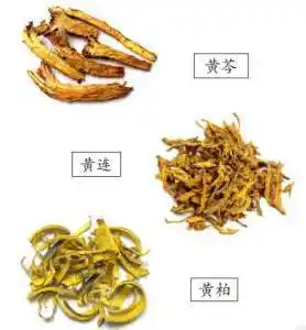 黄芩是什么意思_黄芩怎么读_拼音