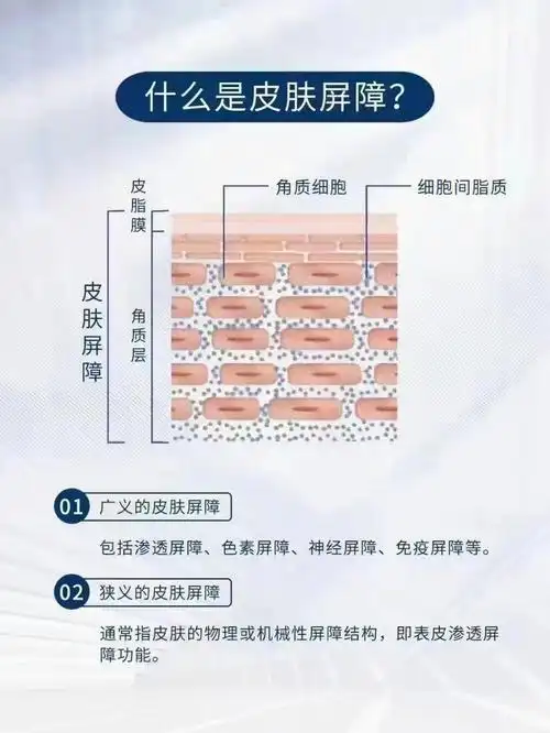 皮肤屏障的修复是一个漫长的过程