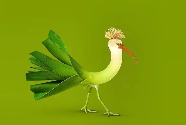 脑洞大开:艺术家用ps的方式,创造出了动物和植物的"结合体"