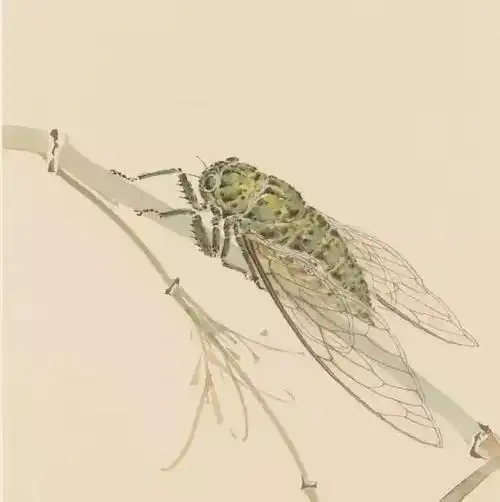 王菂餐英啜露草蟲鱗介冊