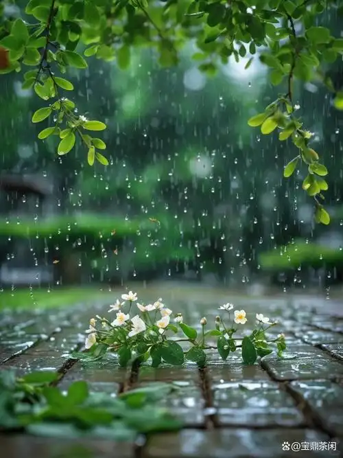 10 首绝美夏雨古诗词:从陆游的雷霆万钧,到杨万里的委婉柔情
