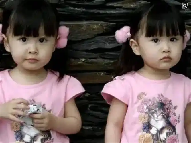 谢娜张杰很少晒双胞胎女儿网友看清孩子正脸后懂了