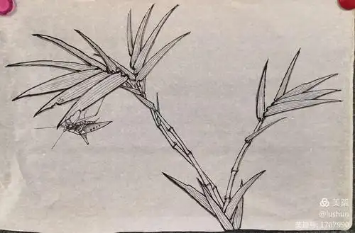 一,白描法画竹
