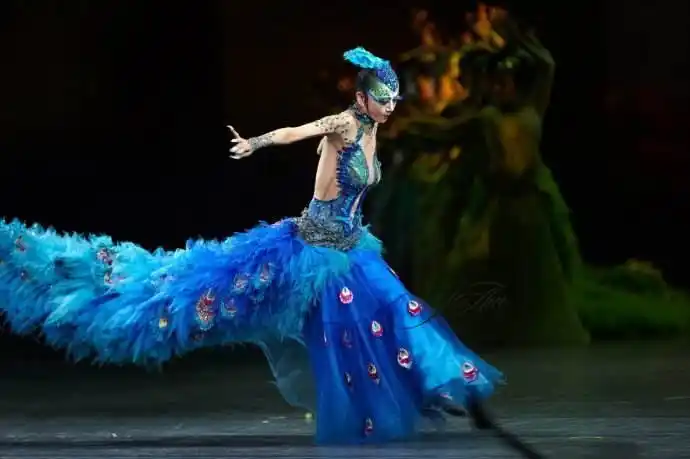 杨丽萍《雀之恋》