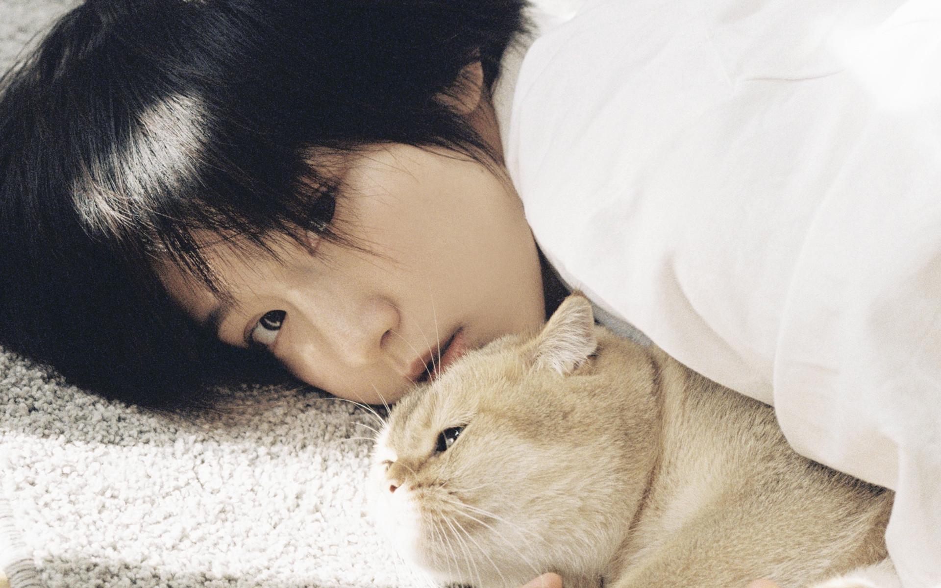 谁有诸葛大力成果的电脑壁纸啊求求求