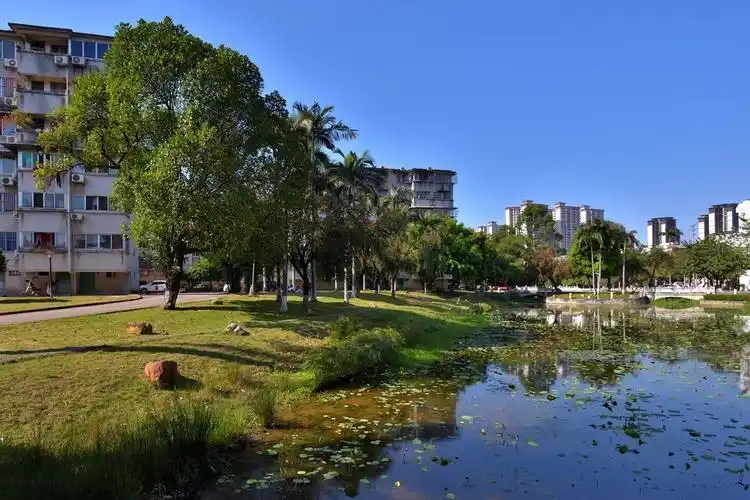 广西大学校园掠影15